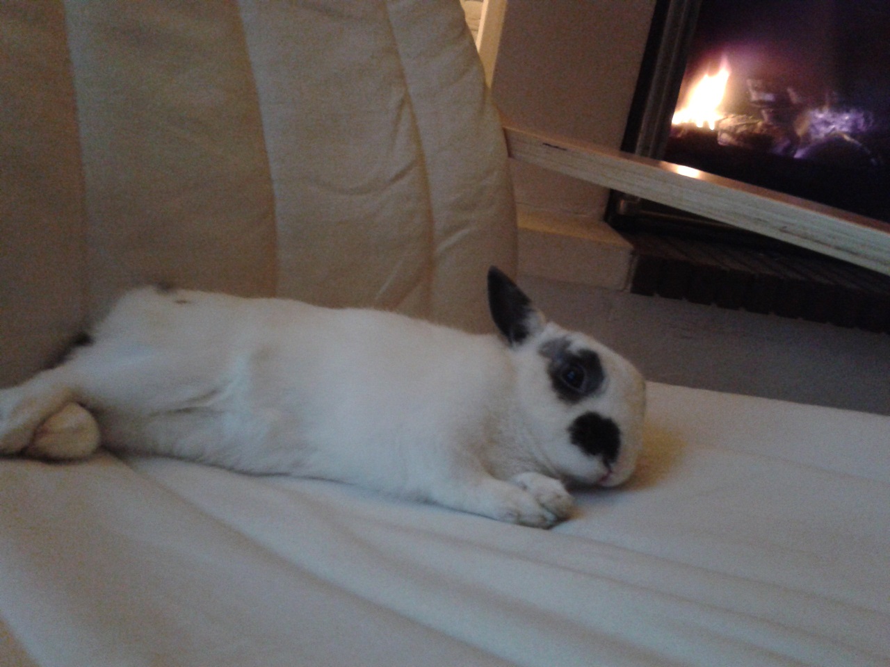 20150125_181044.jpg