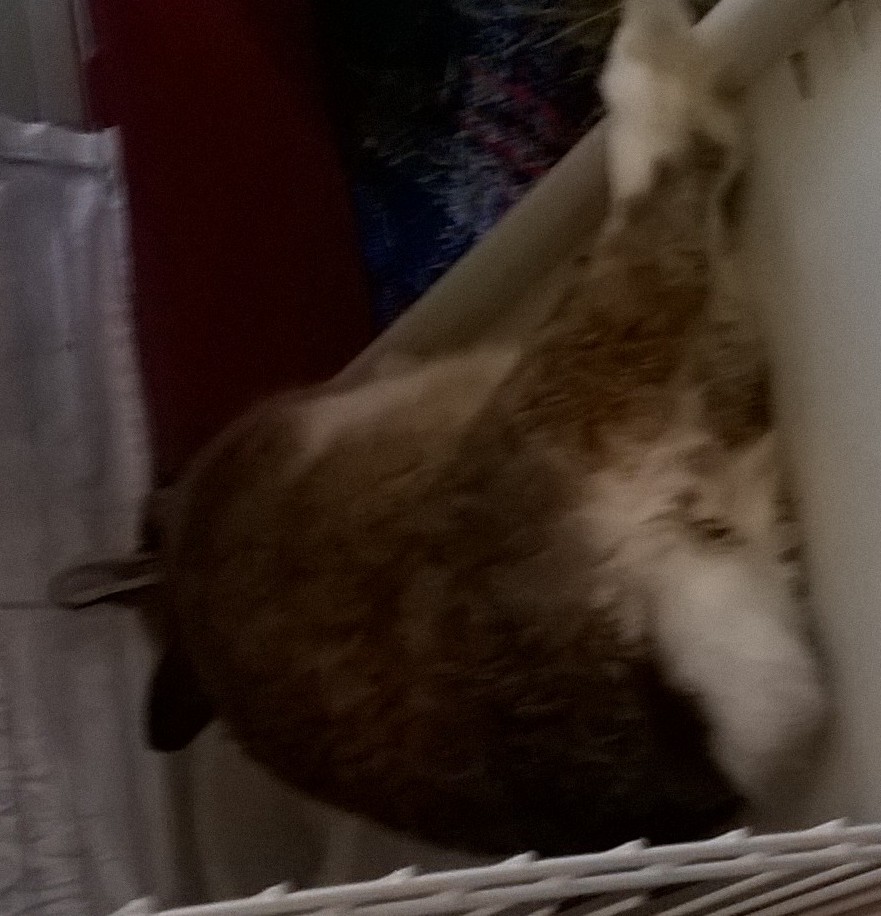WP_20150508_003.jpg