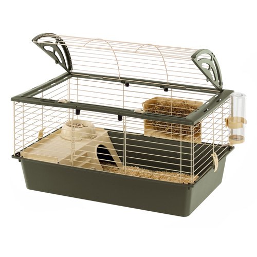 cage-casita-.jpg
