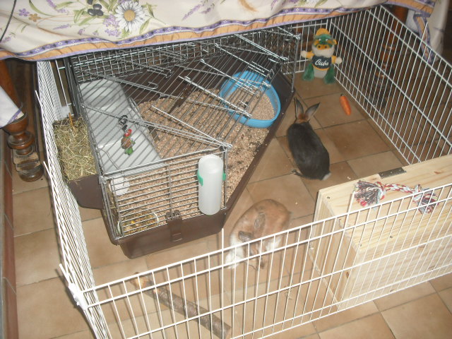DSCF8851.JPG