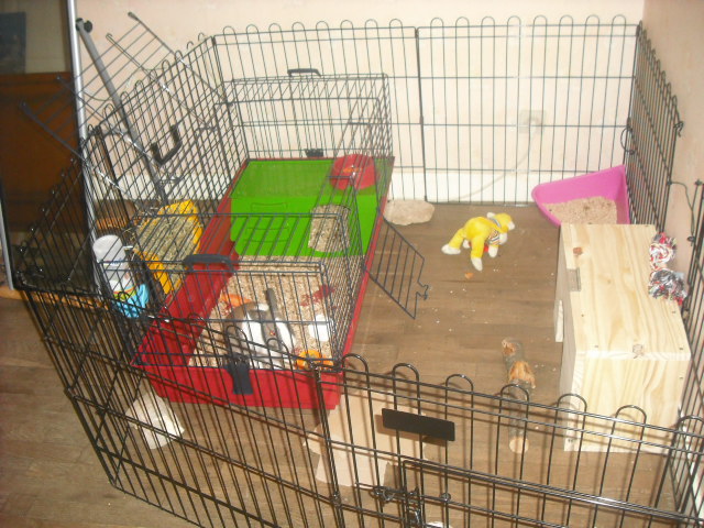 DSCF8852.JPG