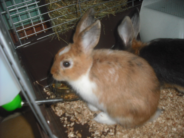 DSCF8863.JPG