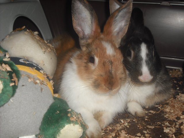 DSCF8729.JPG