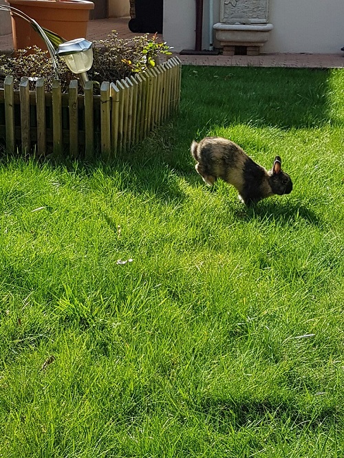 NAYA JARDIN.jpg