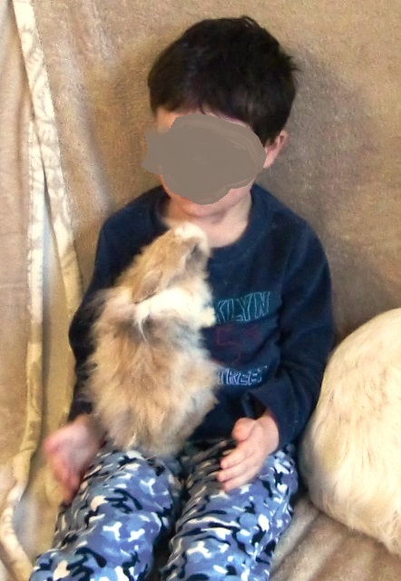 enfantlapin5.jpg