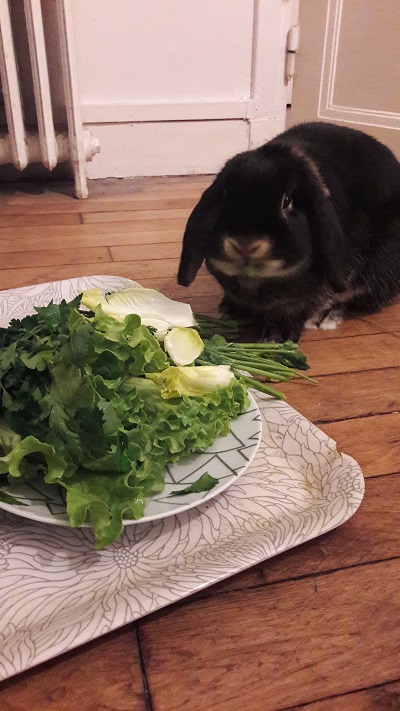 20170406_202925.jpg