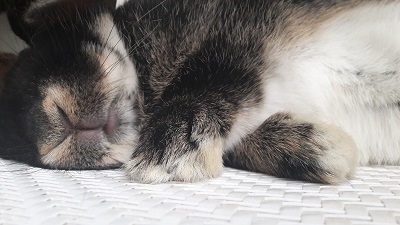 20170402_162805.jpg