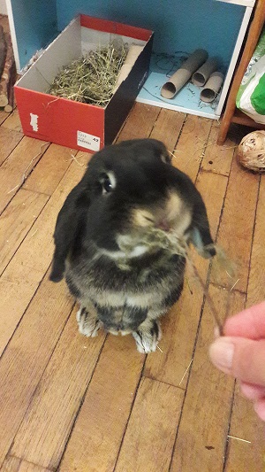 20170729_004608.jpg