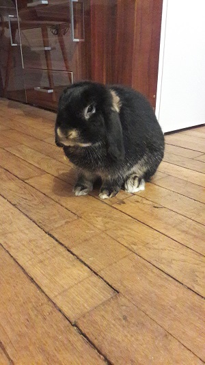 20170808_195521.jpg