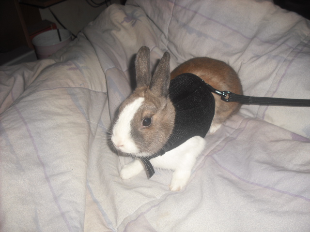 DSCF9078.JPG