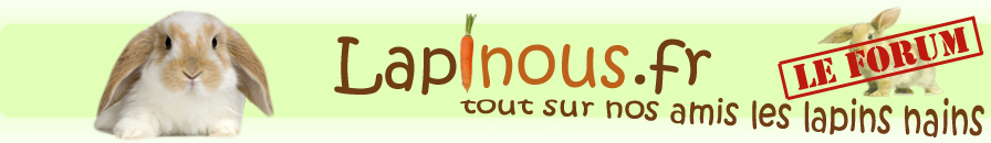 Forum Lapinous.fr, tout sur nos amis les lapins nains !