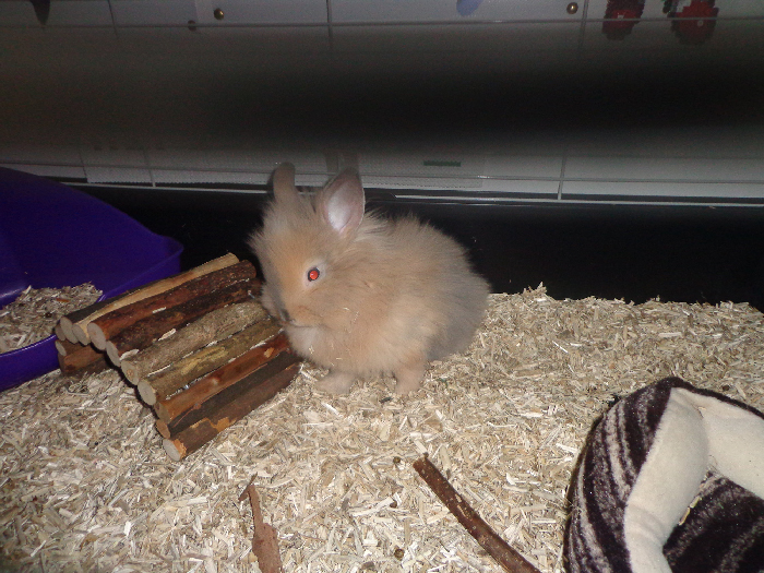 DSC01112-min.JPG