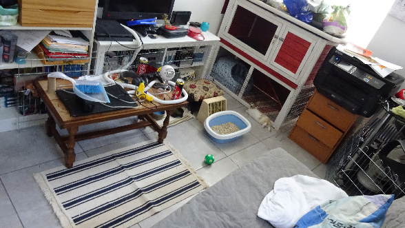 Photo-Seiji-1.jpg