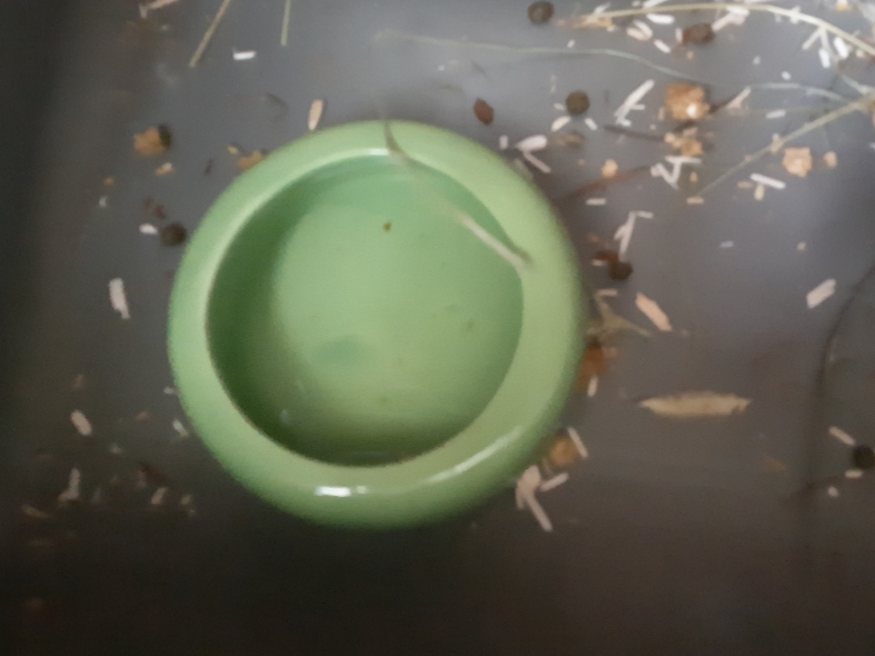 20190608_132317.jpg
