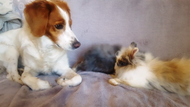 20180709_185529.jpg
