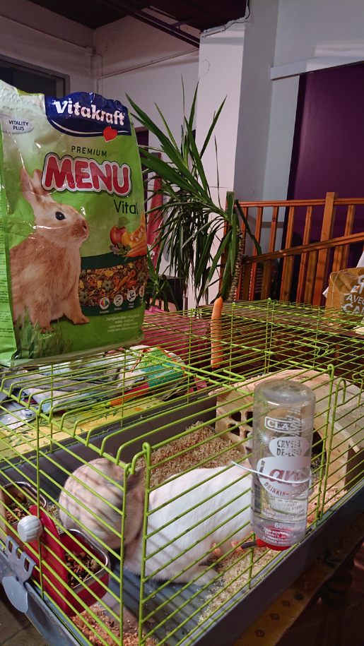cage.jpg