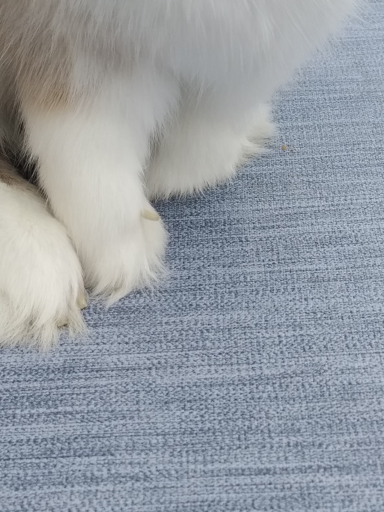 ongle nuts.jpg