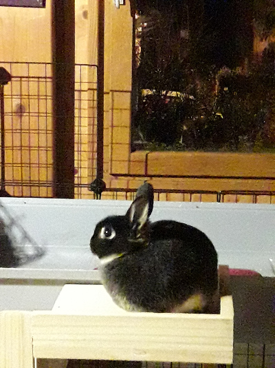 20201207_223753.jpg