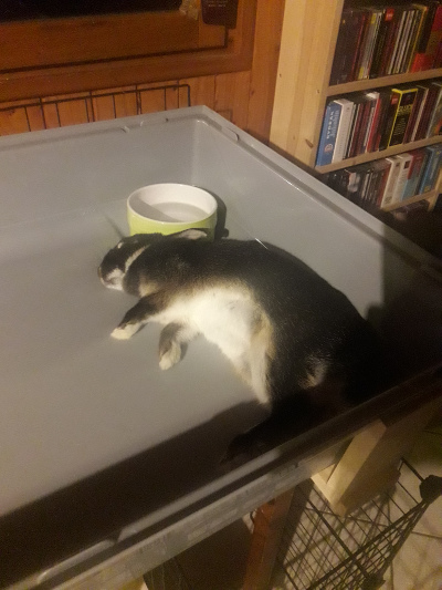 20201227_203635.jpg