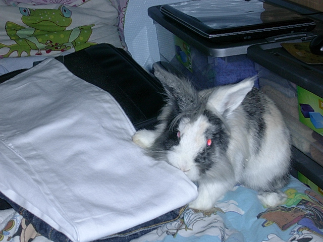 DSCN0918.JPG