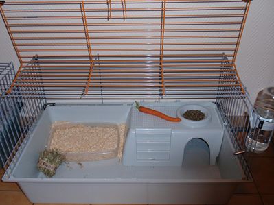 cage[1].jpg