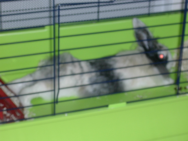 DSCN0884.JPG