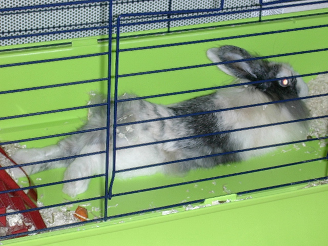 DSCN0875.JPG