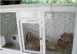 cage lapin 2.png