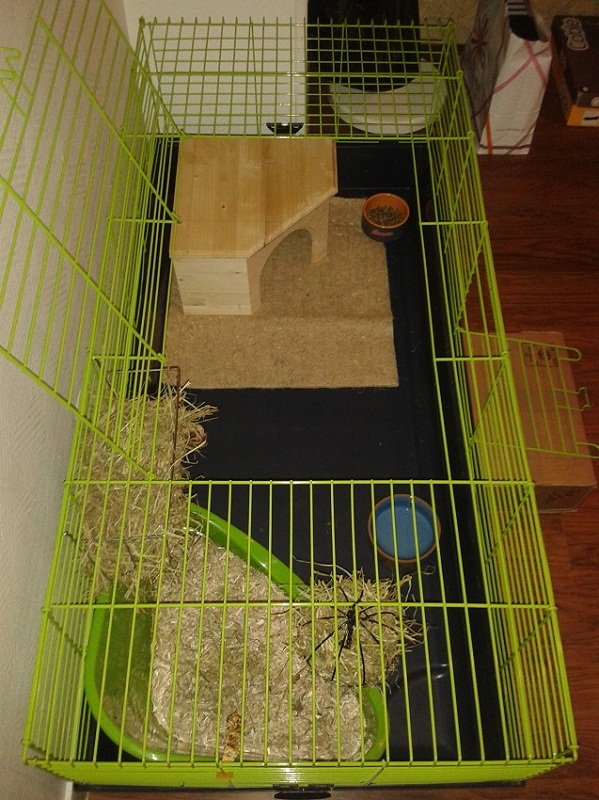 20140112_170330.jpg