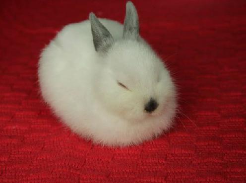 Igloo bébé.JPG
