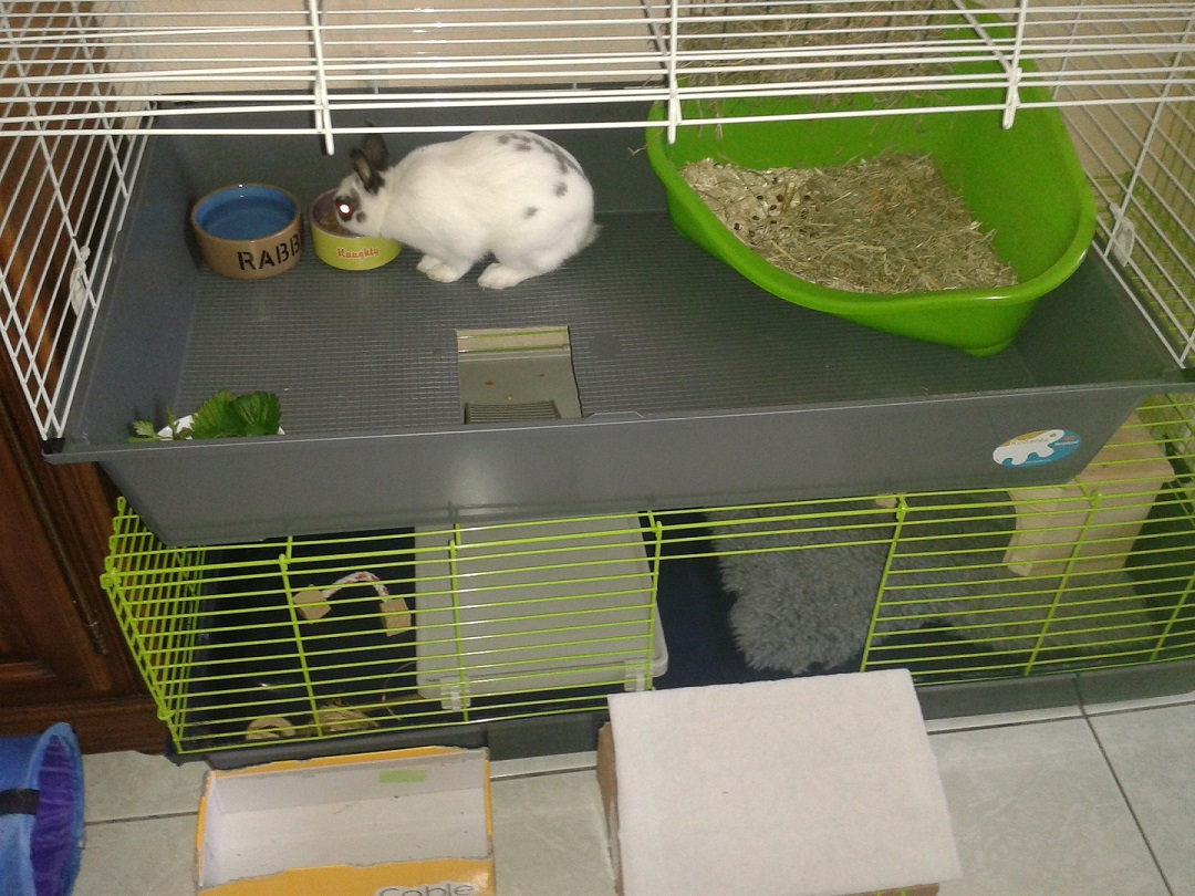 20140524_193309.jpg