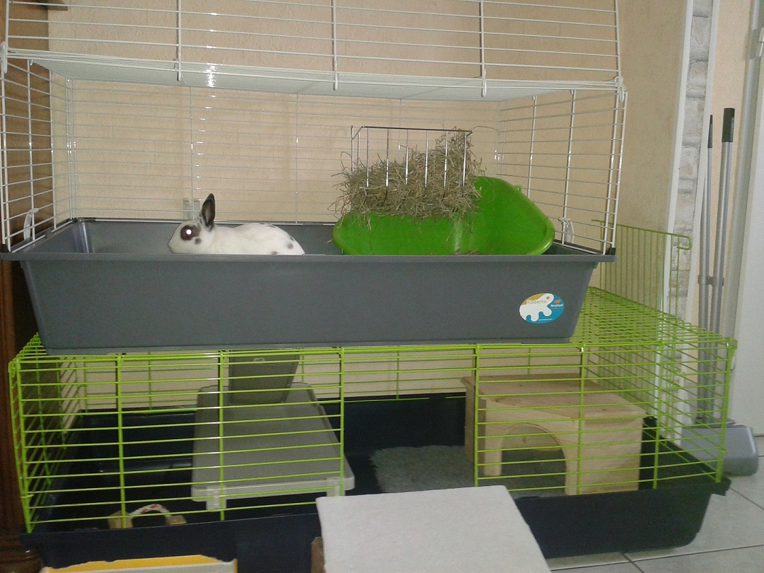 20140524_193228 2.jpg