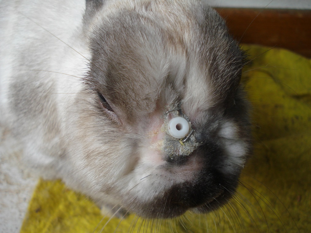 DSC02885.JPG A.jpg