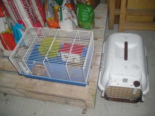Hamsters ☺ 001 (500x374).jpg