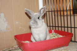 img5013.jpg